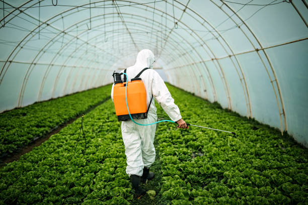 Best Mosquito Control Services  in Key Largo, FL