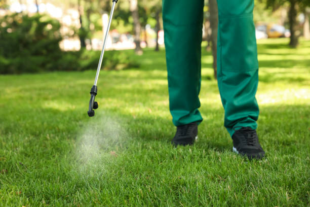 Pest Control for Restaurants in Key Largo, FL