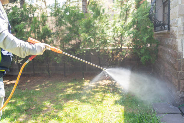 Trusted Key Largo, FL Pest Control Experts