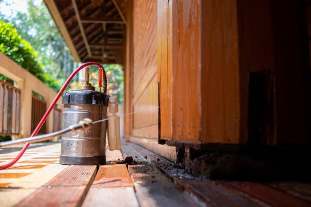 Best Exterminator Services  in Key Largo, FL